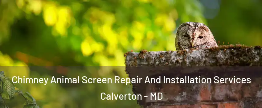  Chimney Animal Screen Repair And Installation Services Calverton - MD