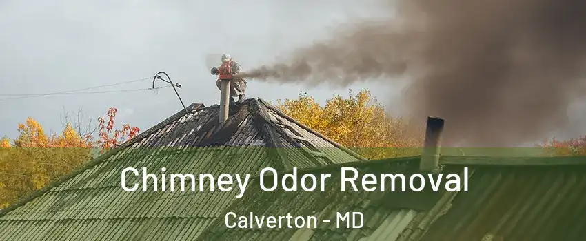  Chimney Odor Removal Calverton - MD