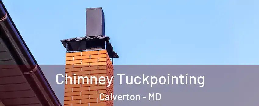  Chimney Tuckpointing Calverton - MD