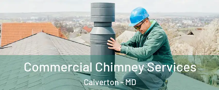  Commercial Chimney Services Calverton - MD