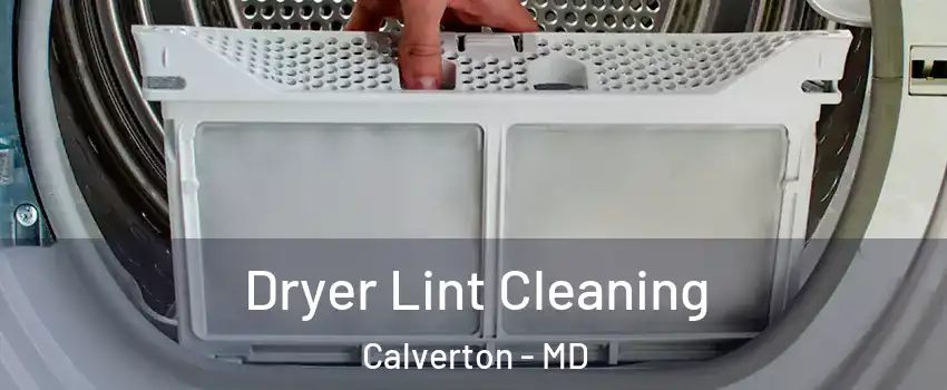  Dryer Lint Cleaning Calverton - MD