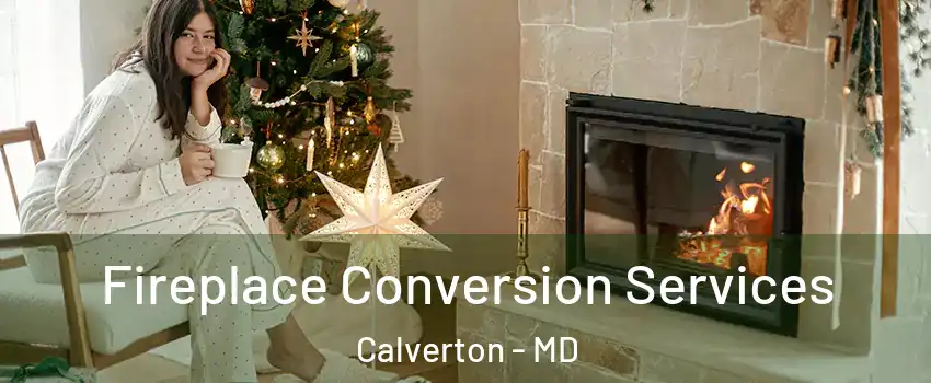  Fireplace Conversion Services Calverton - MD