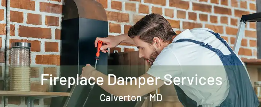  Fireplace Damper Services Calverton - MD