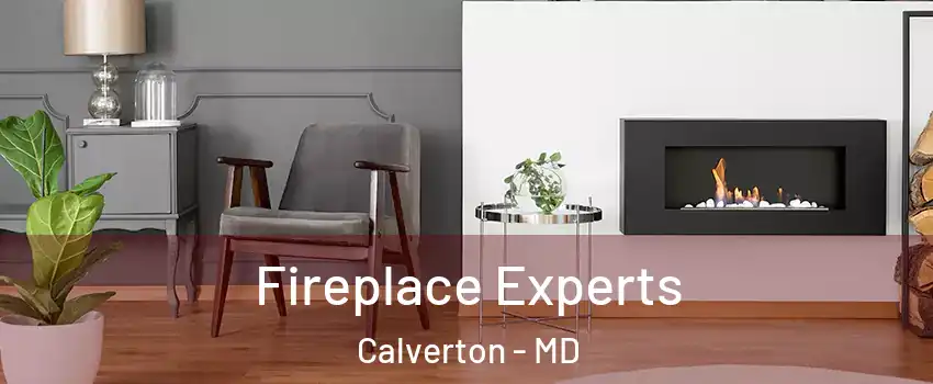  Fireplace Experts Calverton - MD