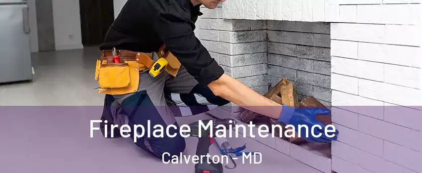  Fireplace Maintenance Calverton - MD