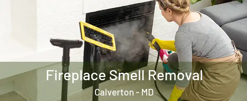  Fireplace Smell Removal Calverton - MD