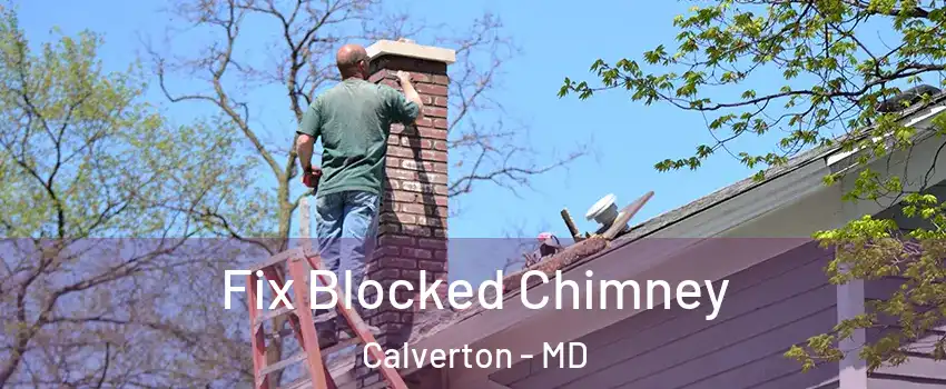  Fix Blocked Chimney Calverton - MD