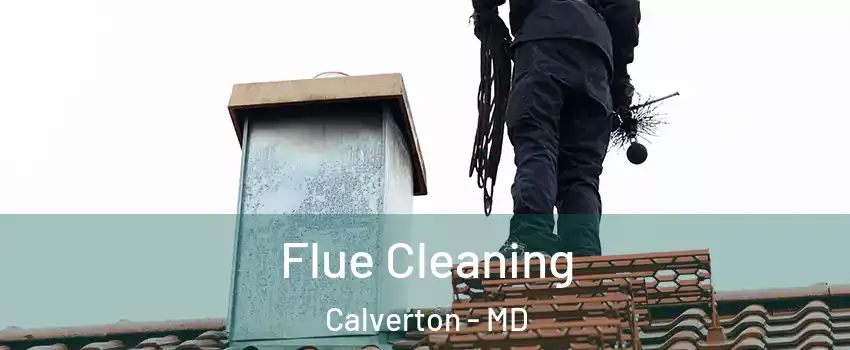  Flue Cleaning Calverton - MD