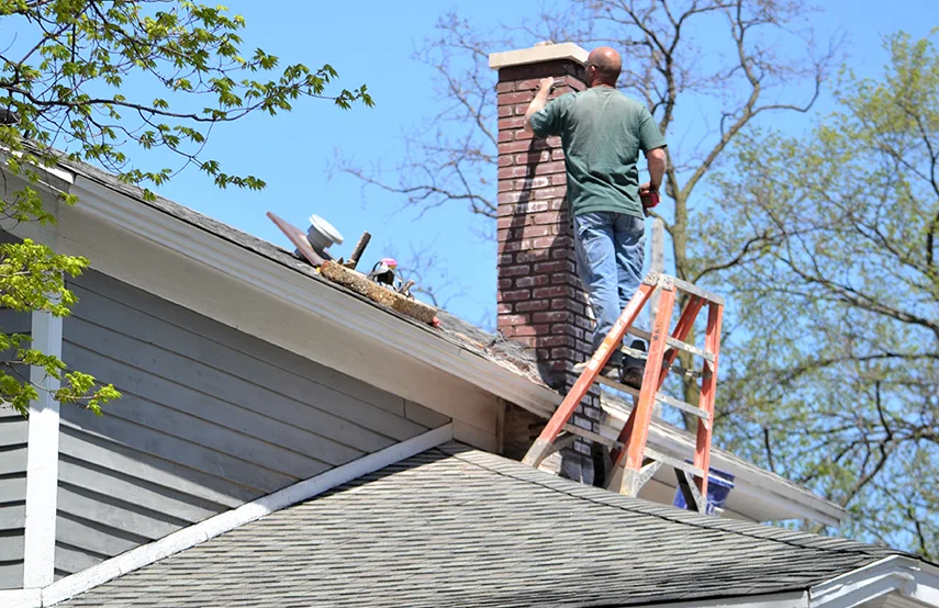 Chimney & Fireplace Inspections Services in Calverton, MD