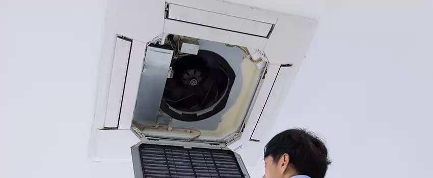 Benefits of Professional Air Duct Cleaning in Calverton, Maryland