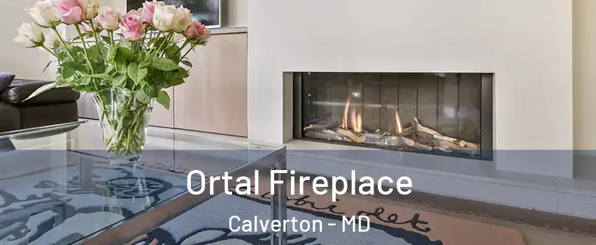  Ortal Fireplace Calverton - MD